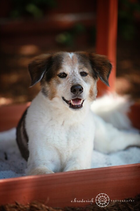 One more because I can't help it. 