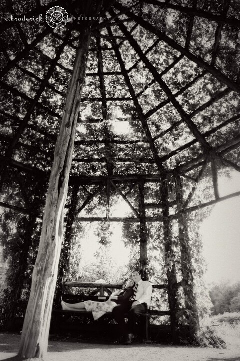img_0387-edit