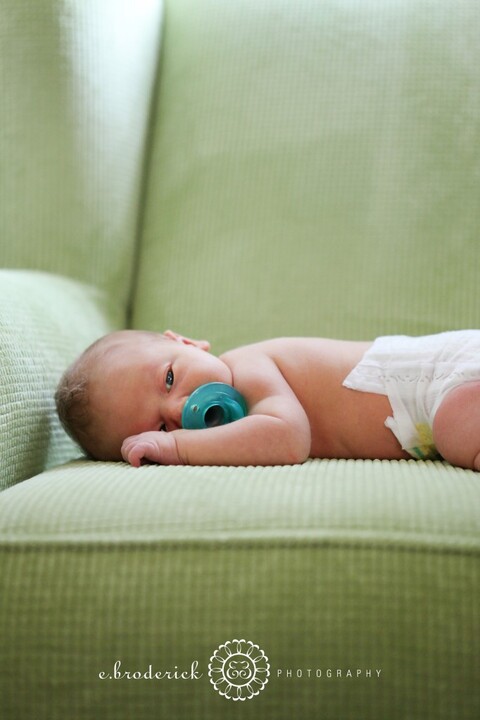 This guy loves his pacifier. I love how giant it looks in his little mouth. 