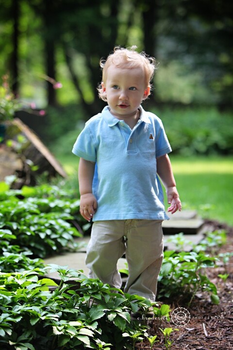 A rare pause in his trek around the neighbor's yard.