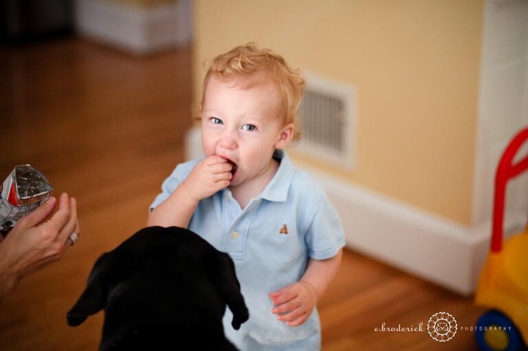 Barkley is no dummy. He knows exactly where to be at snack time! 