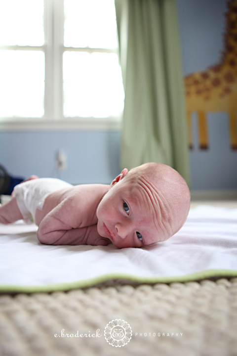Check out that neck control! And the little old-man forehead.