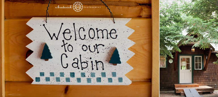 cabinboard