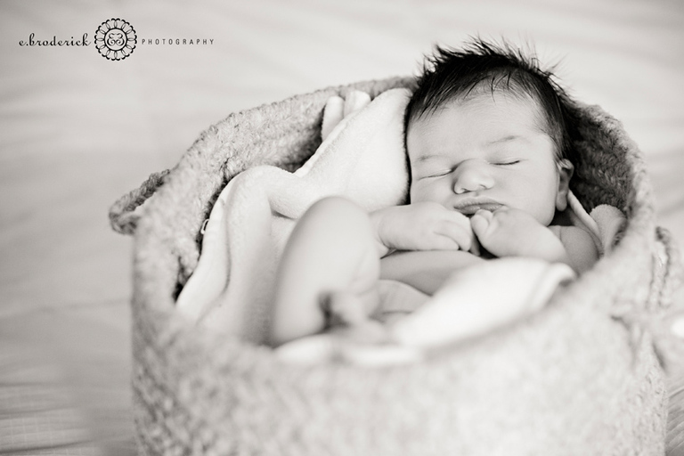 0058_olivo_feb2012