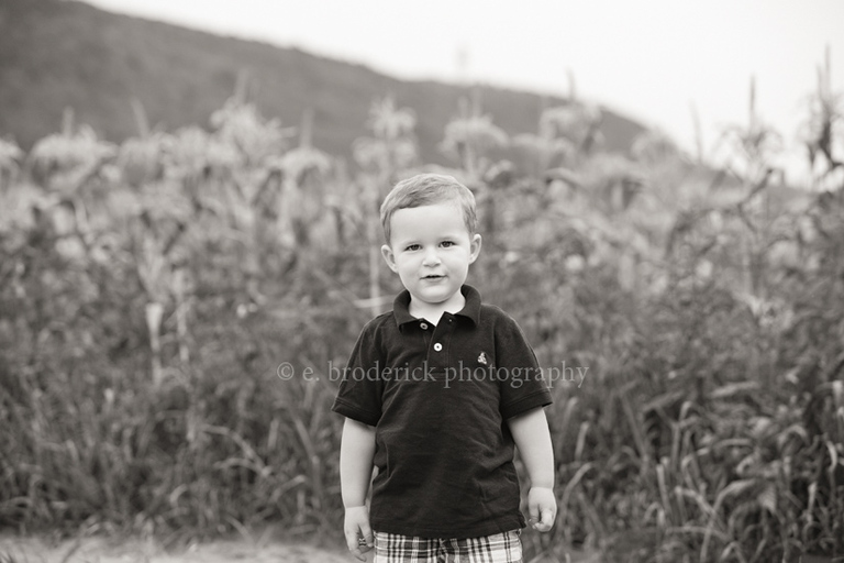 _mg_1601-edit